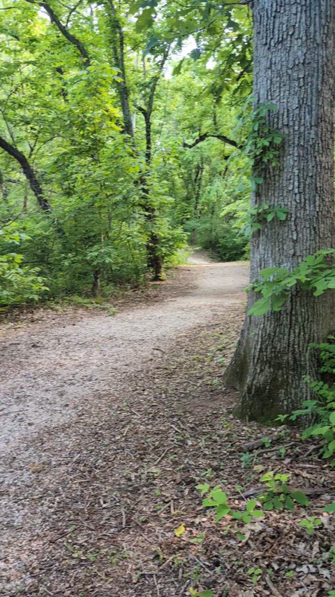 Not being subtle AT ALL on the public walking paths