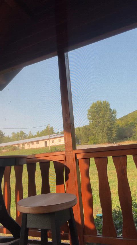 If you see me on the porch, don't be shy