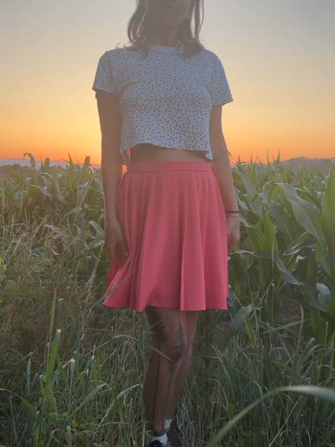 Stopped the car by the country road to enjoy the sunset