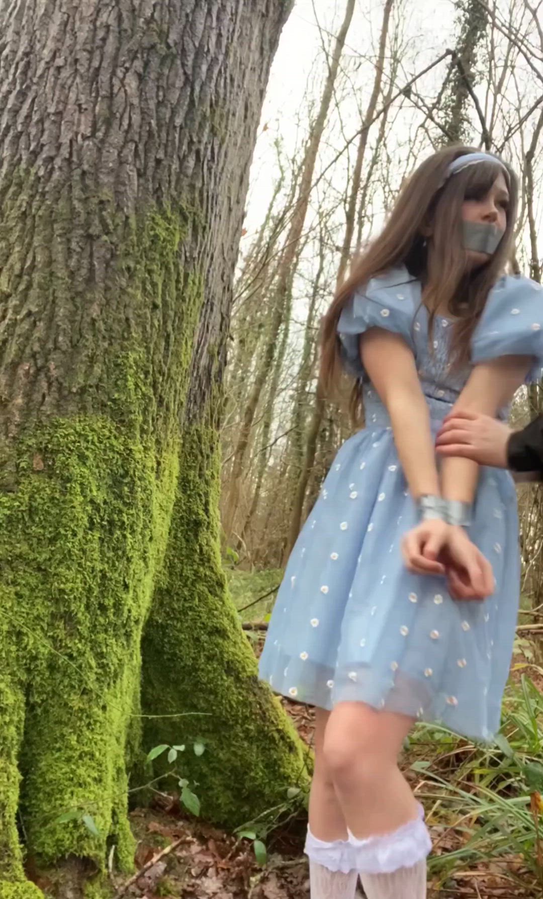 captured princess gets all used up in the woods (Belle D)