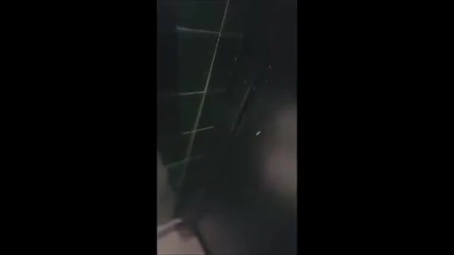 Porn GIF by greedydecision