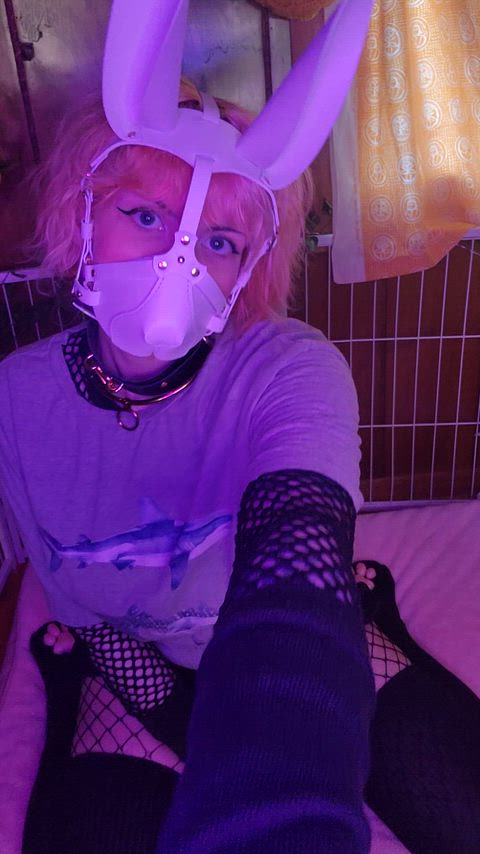 masked bunny shows you what's under their shirt