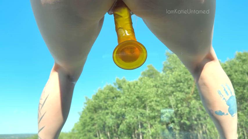 Riding shotgun in my truck has its perks.