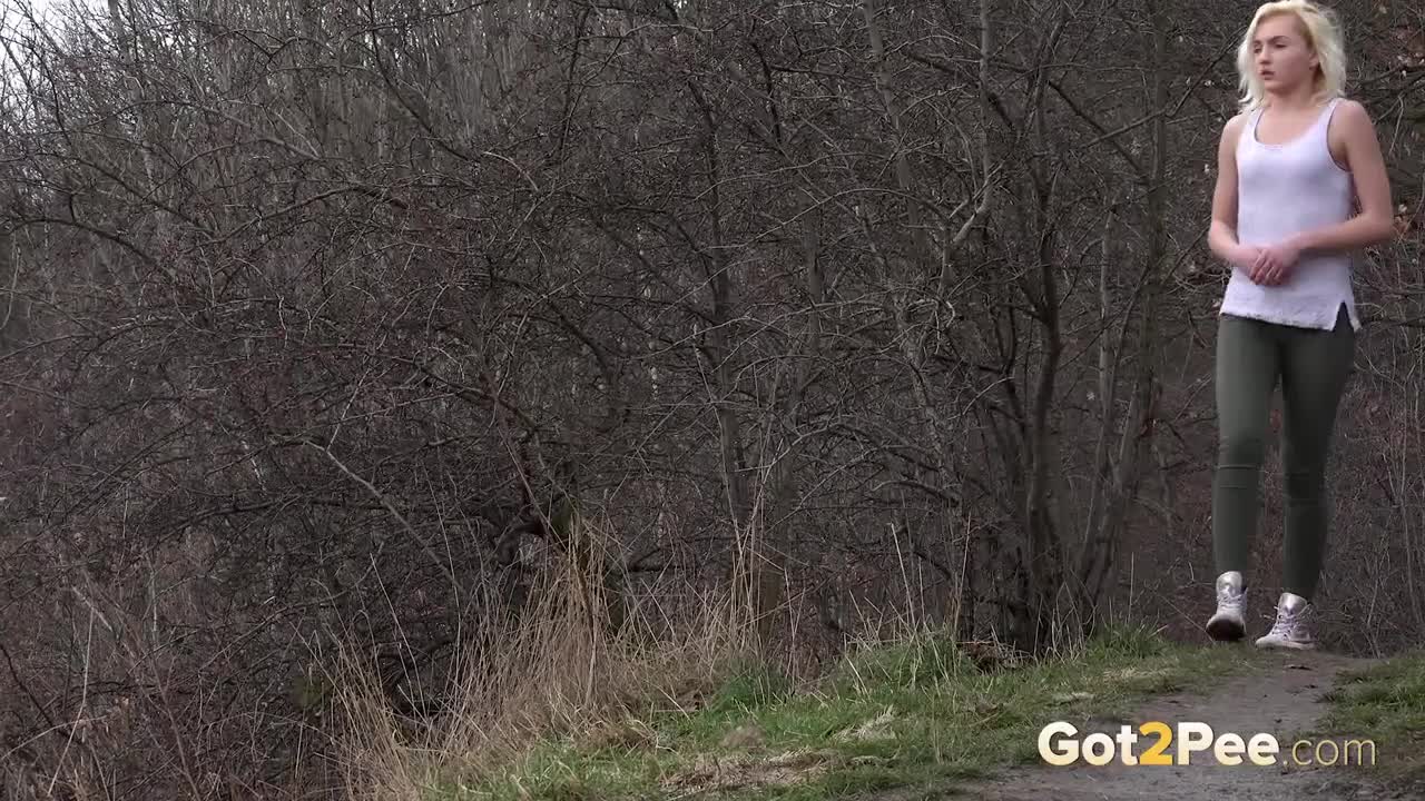 The Nature Trail