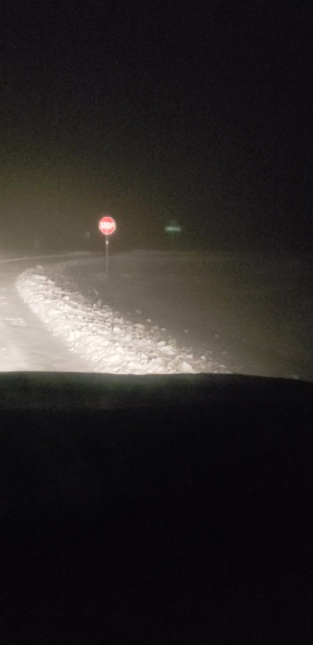 Fresh snow. Anybody up for snowangles