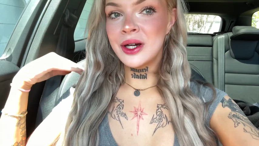 CompetentFewBluetonguelizard thumbnail