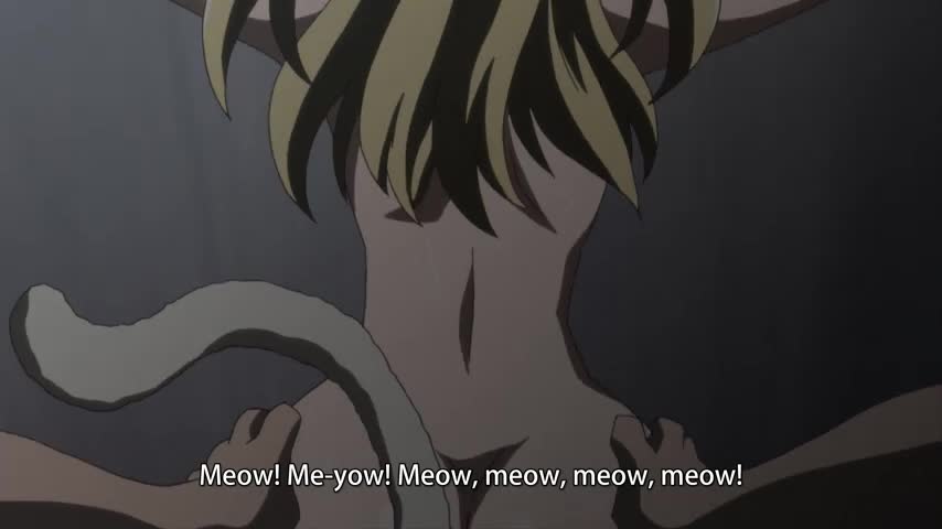 Noisy Cat-Girl