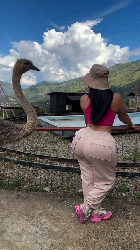 I just found my Spirit Animal