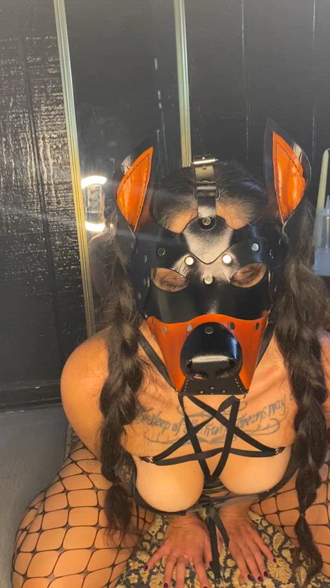 🥀💀🦇✨🐶🐾cum drunk goth [F]uck-pup panting hard with a big knotted cock in her cute little puppy parts🥩🦴🪢✨