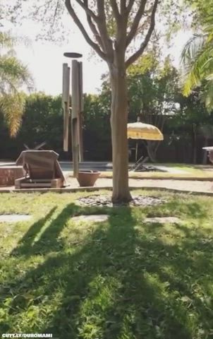 Caught Funny Porn NSFW Outdoor Pornstar Public Standing Doggy Porn GIF by duromami