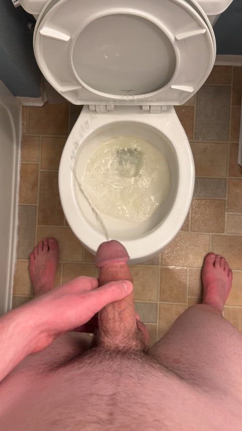 pissing everywhere because I can