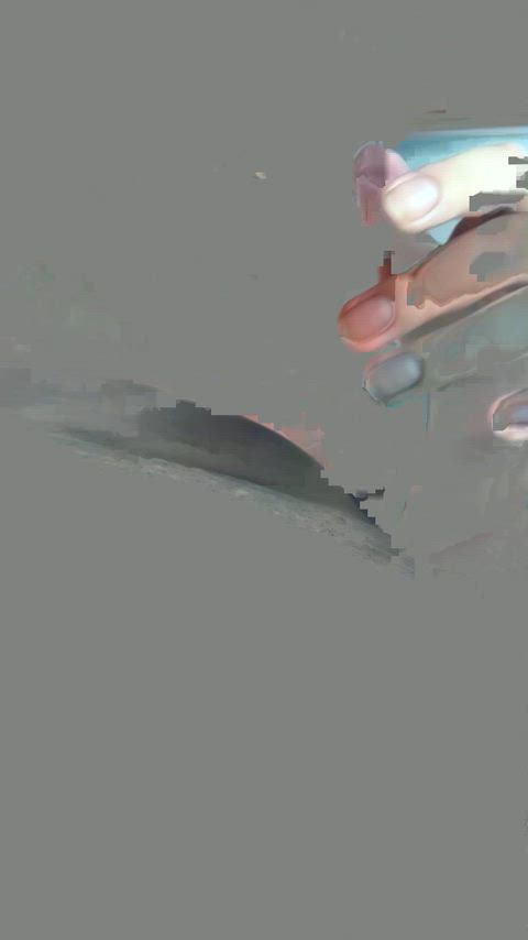 Amateur OnlyFans Pussy Porn GIF by explicitelliie
