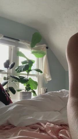 CrushingVictoriousNagapies thumbnail