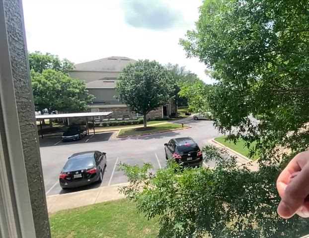 Busting a nut out my apartment window again!