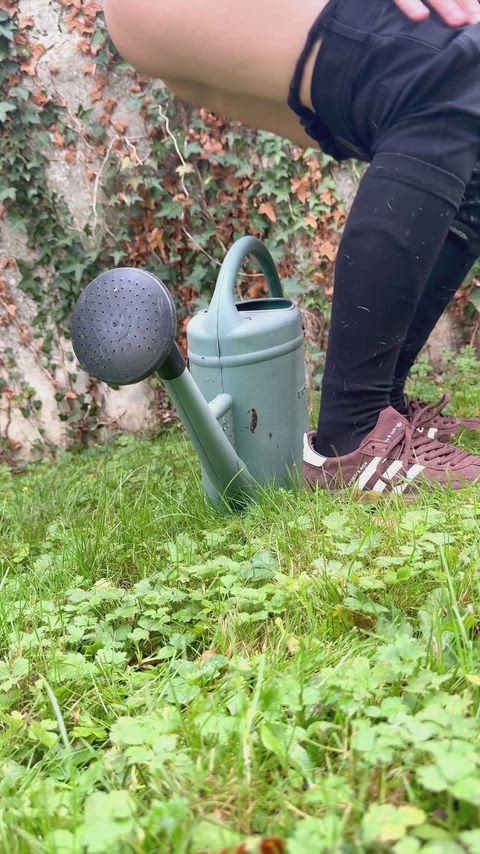 Would you prefer I water the grass or water you ?