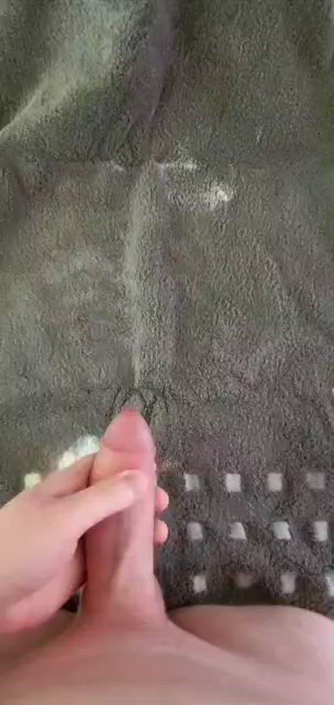 DampDesertedParakeet thumbnail