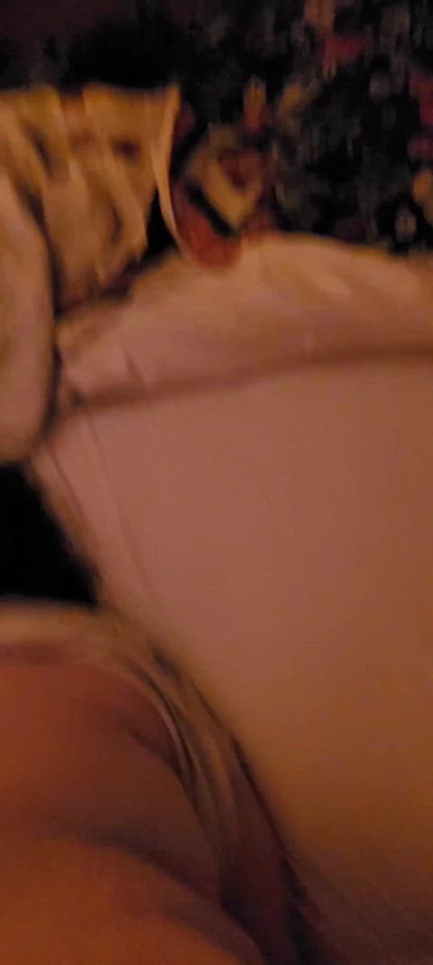 DampExcellentSpider thumbnail