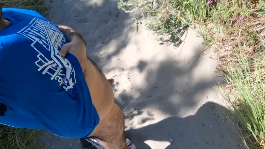 Some fun day on my walk