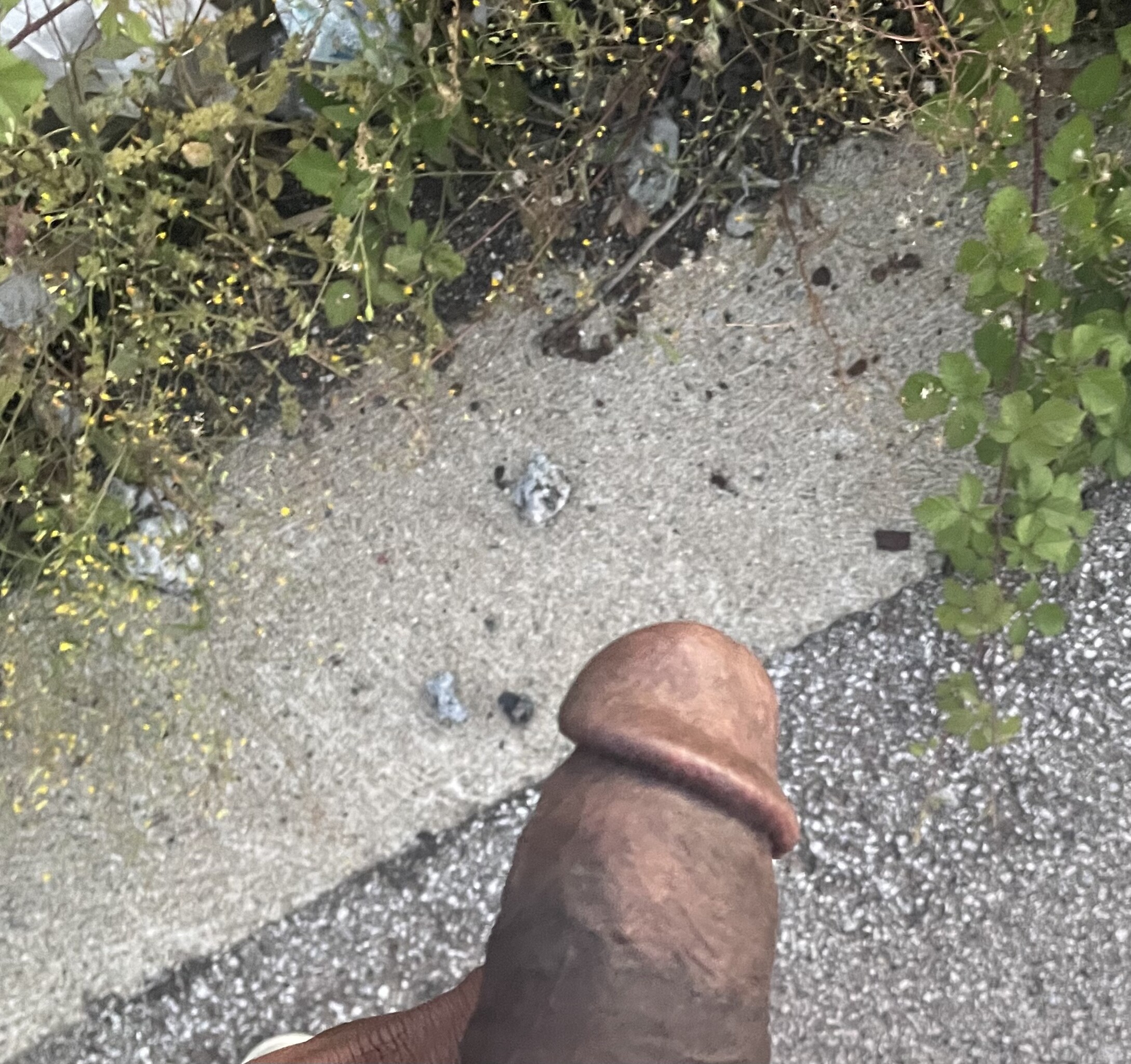 Male bbc dick onlyfans