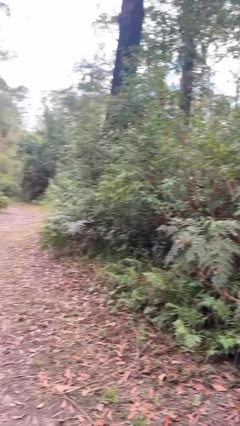 reason why my run always take a wrong turn ;x