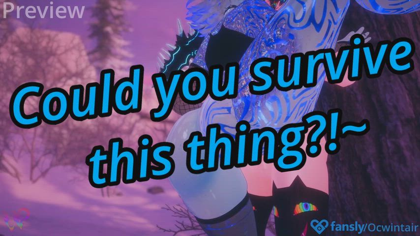 Winter forest wencounter