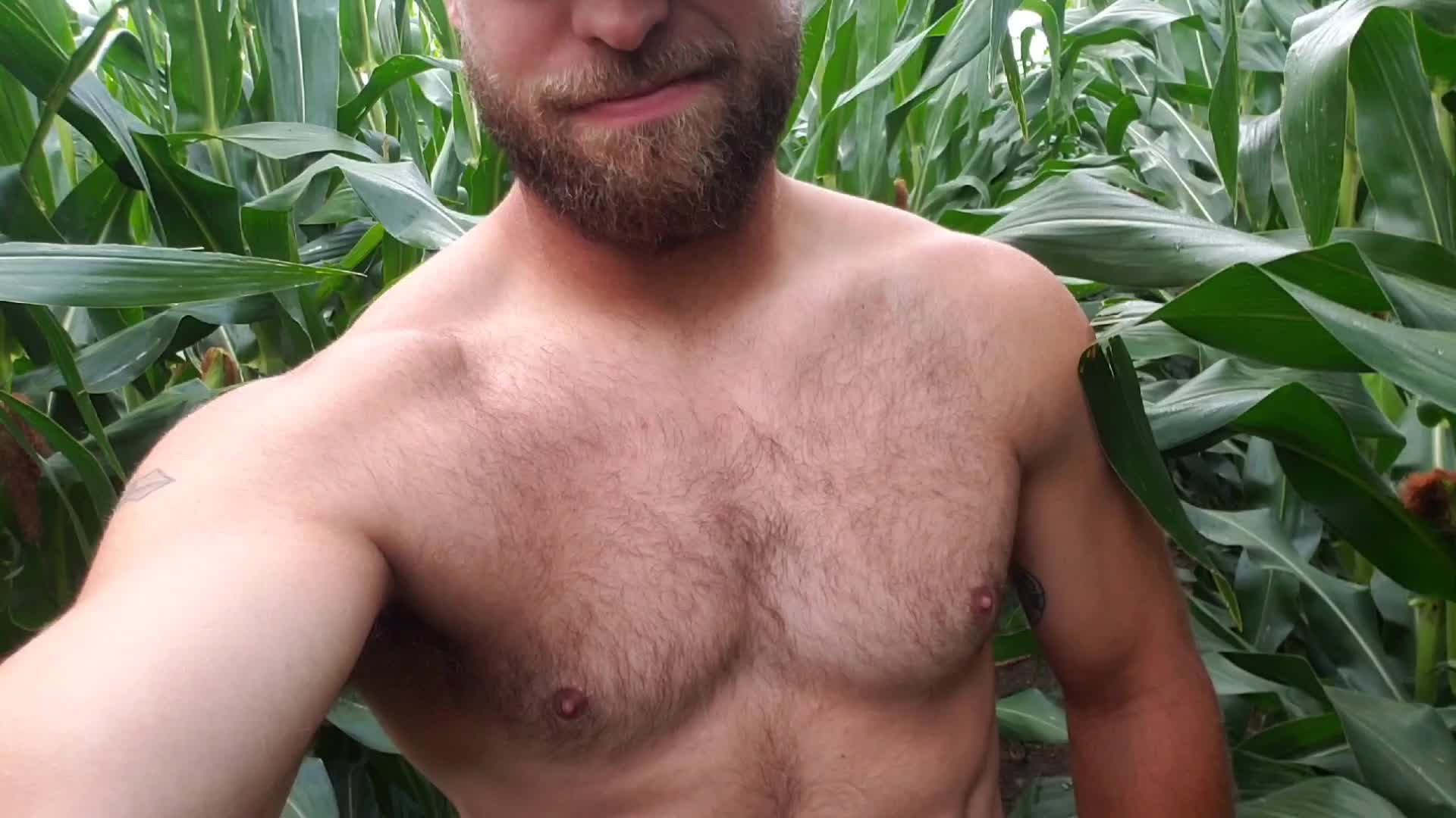 Ideal way to check your corn if you ask me!