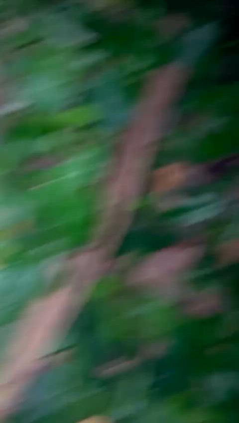 DeepWellwornNandoo thumbnail