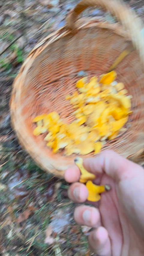 I love mushroom season. My pussy does too!