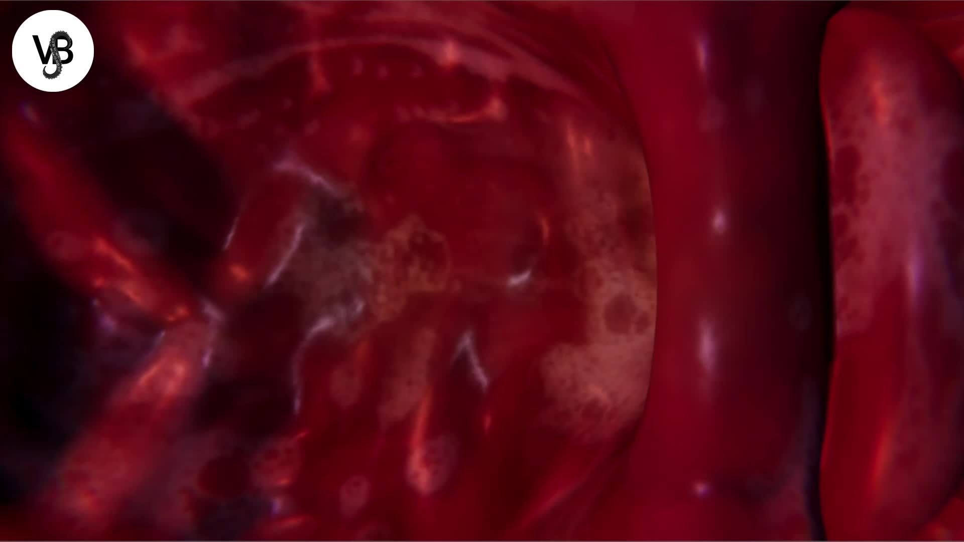 Working on X-Ray fertilization scene