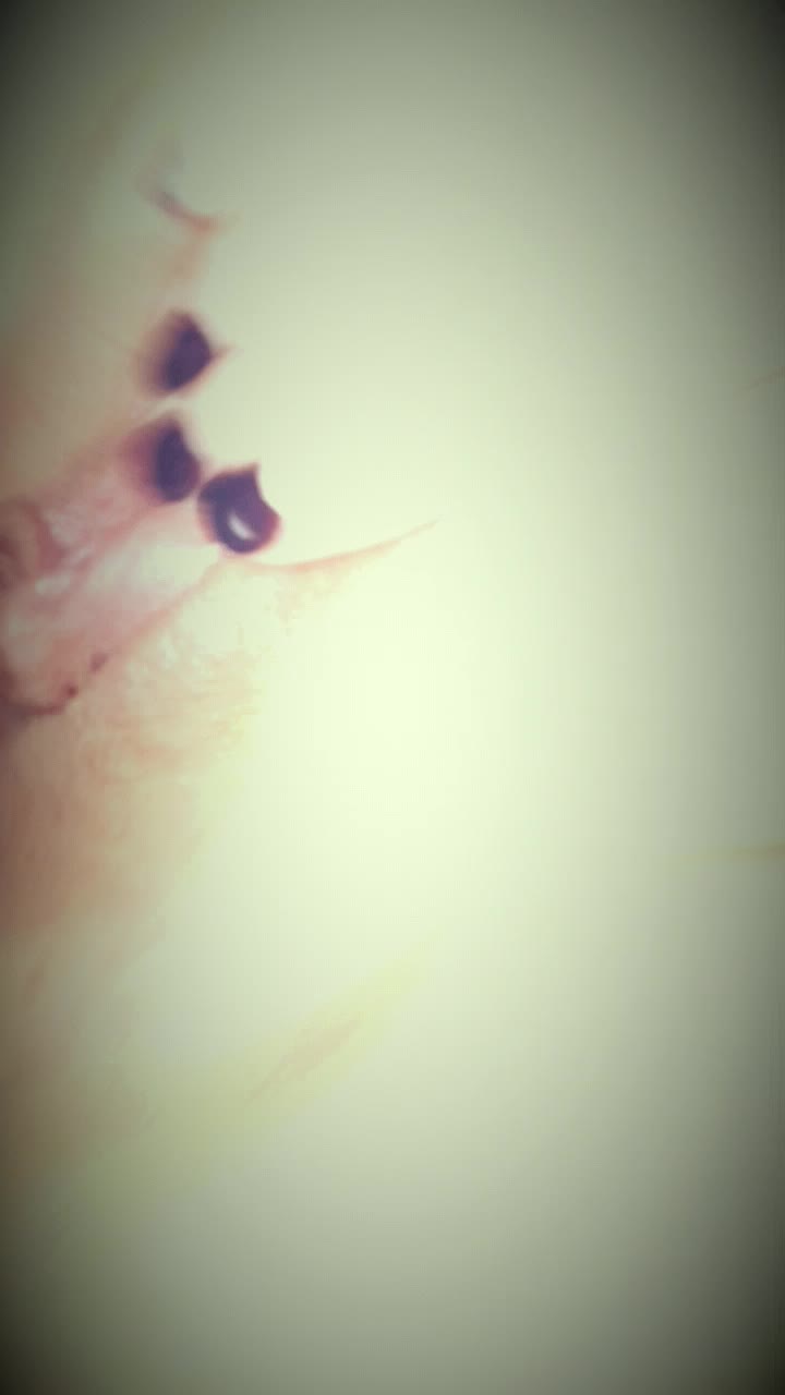 B makes me cum then keeps fucking my ass. Xx