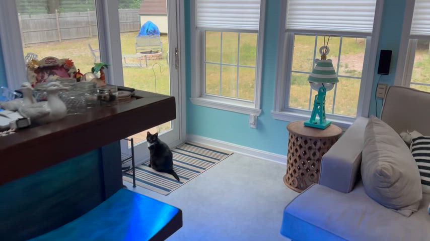 I wasn’t answering hubby’s texts, now he sees why.