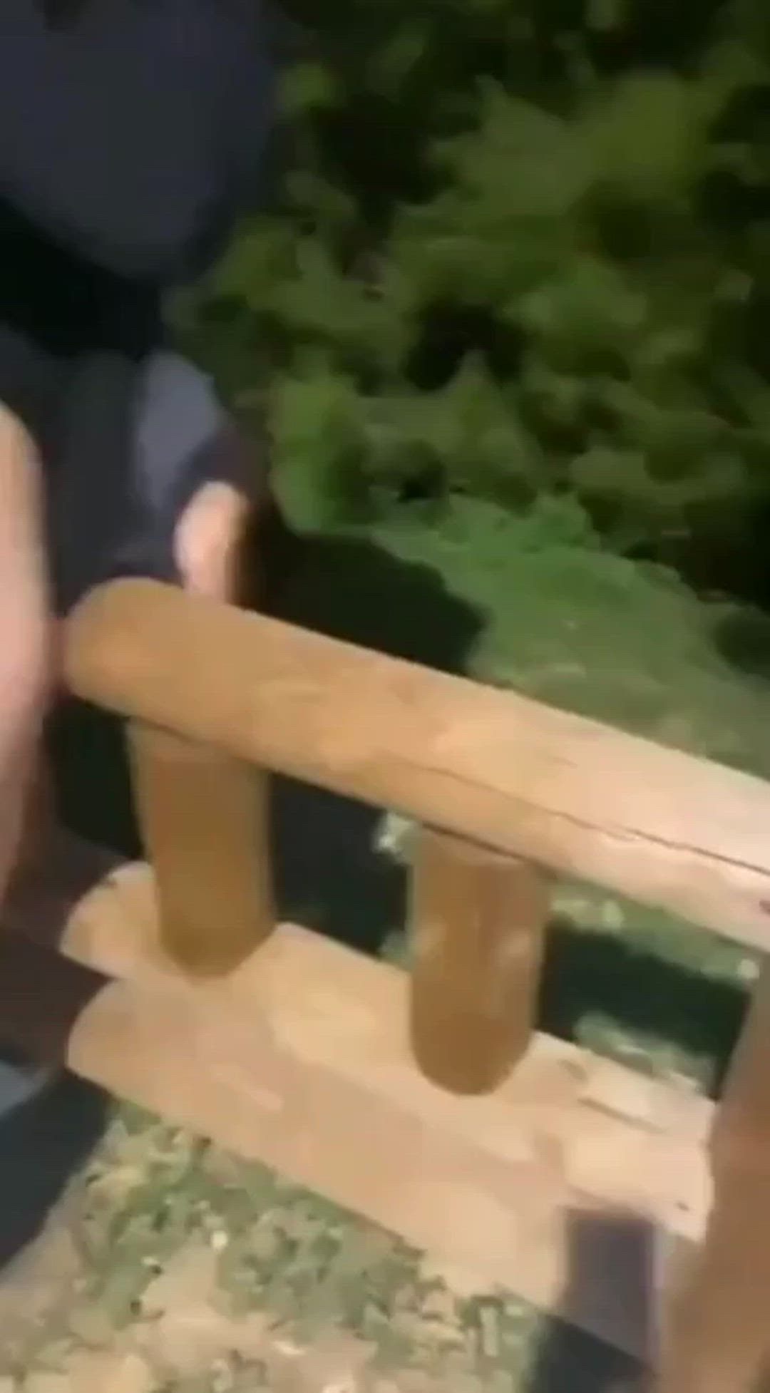GIF thumbnail
