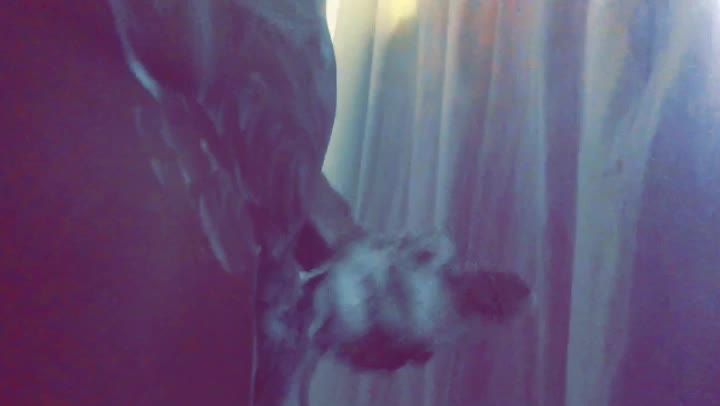 If she ain a pawg I don’t want her🍑👌🏽🍆💦