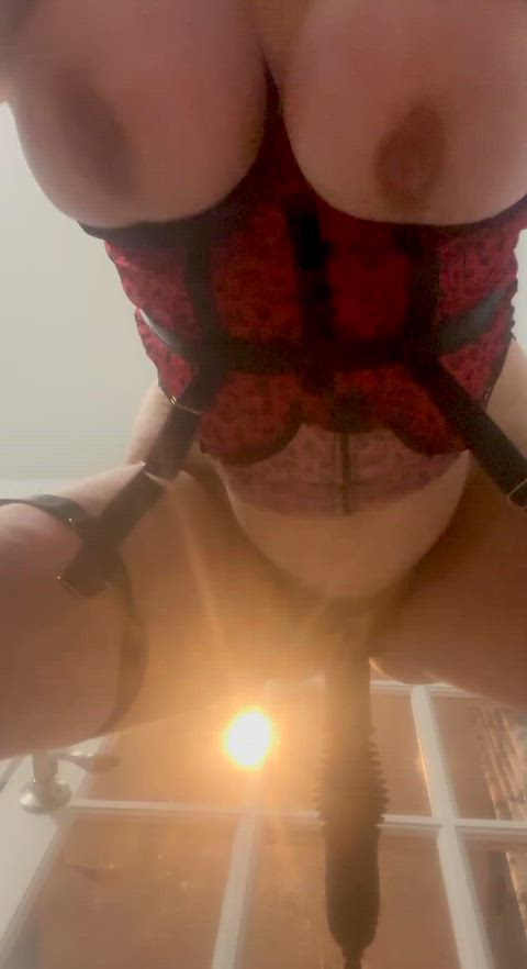 DisfiguredOrchidHorseshoebat thumbnail
