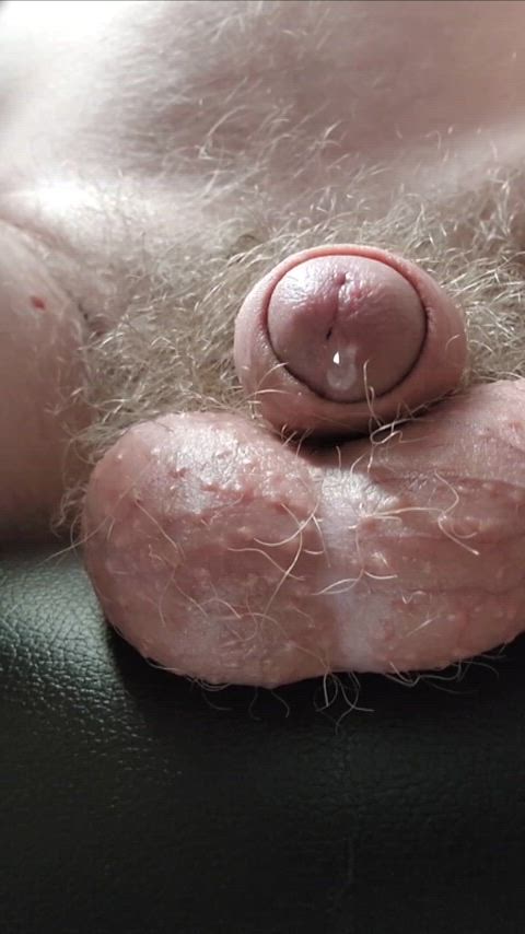 Balls Big Balls Precum Porn GIF by cab1122