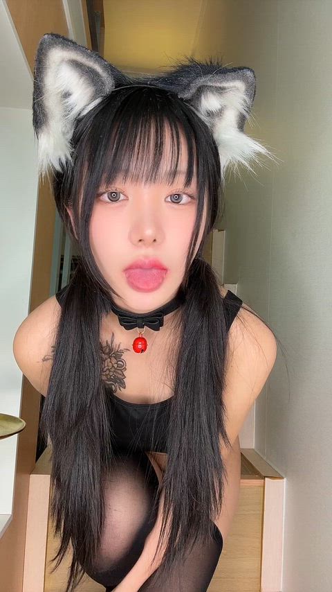 my application to become your personal asian catgirl