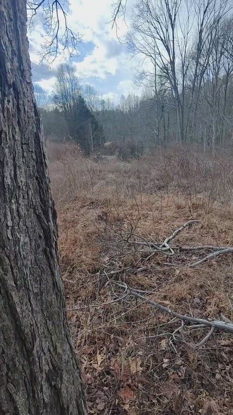 I want to cum outside