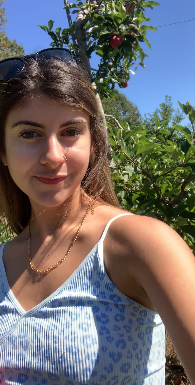Would you pick these apples?🤔