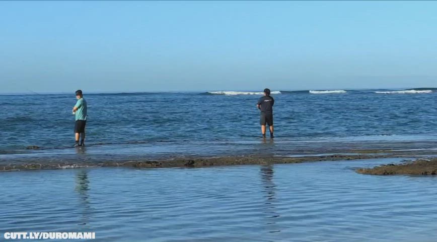 Ass Beach Exhibitionism Exhibitionist Fisting Lesbian Public Pussy Teens Porn GIF by duromami