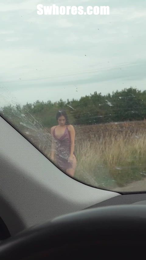 Brunette Car Car Sex Handjob Outdoor Prostitute Public Small Tits Whore r/FuckOutdoors Porn GIF by adultprime