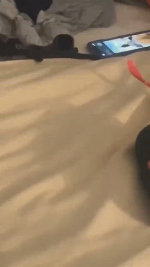 Anyone know the title of the vid in the phone?
