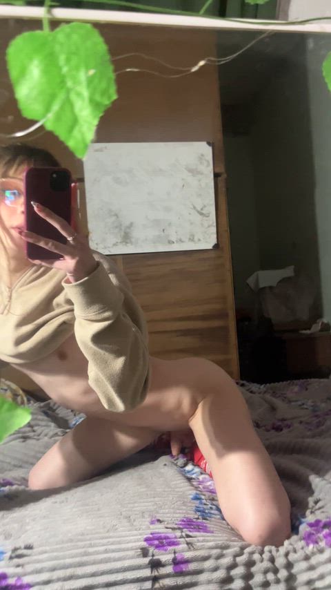 DownrightBumpyLorikeet thumbnail