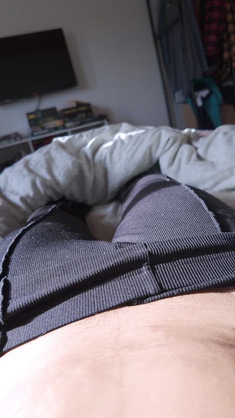 Canela — Vídeo — good morning 🙈