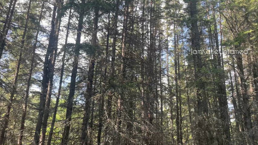 I wanna be your forest fuck doll.