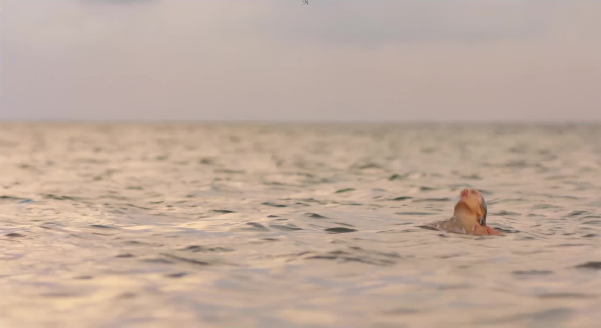 Tori Anderson hot bikini plot in 
