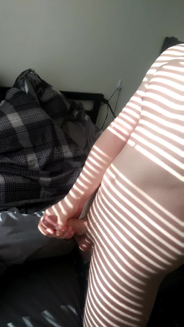 What's black and white and cums all over?