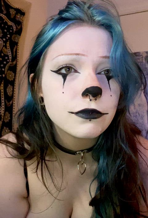 ElegantUnrulyChihuahua thumbnail