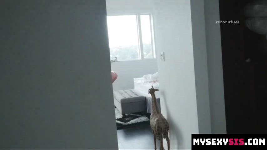 Should We Finish What We Started Step Bro It Will Make You Happy