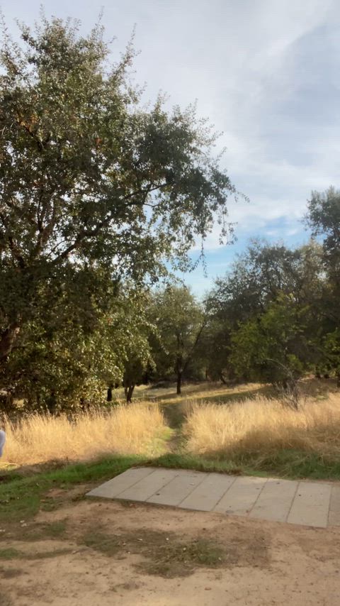 Let me just get a bit more comfortable