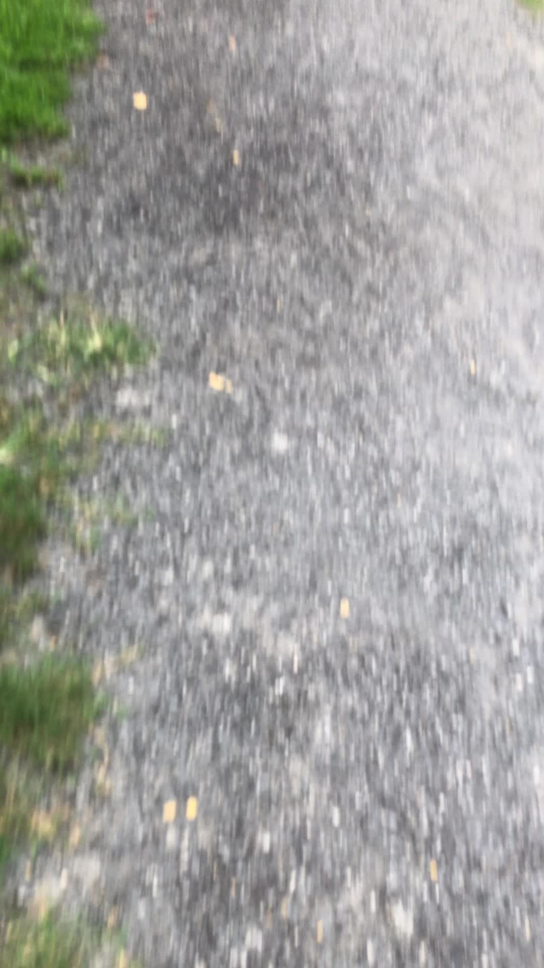 New Here